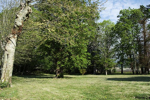 Château de Garnerot - Mercurey - Le parc au printemps