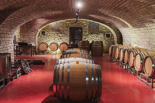 En cave, elevage des vins du Château de Garnerot - vendanges 2019