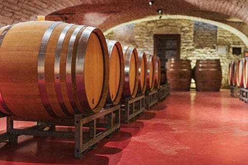 En cave, elevage des vins du Château de Garnerot - vendanges 2019